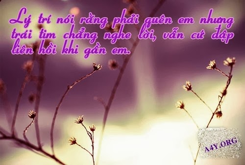 Những hình ảnh đẹp về tình yêu đơn phương đầy cảm xúc hợp với tâm trạng 19