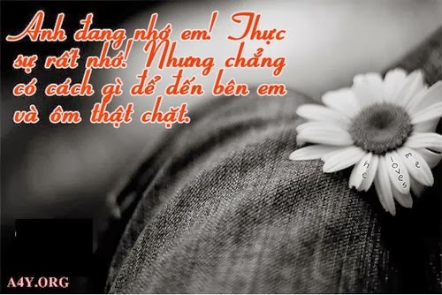 Những hình ảnh đẹp về tình yêu đơn phương đầy cảm xúc hợp với tâm trạng 20