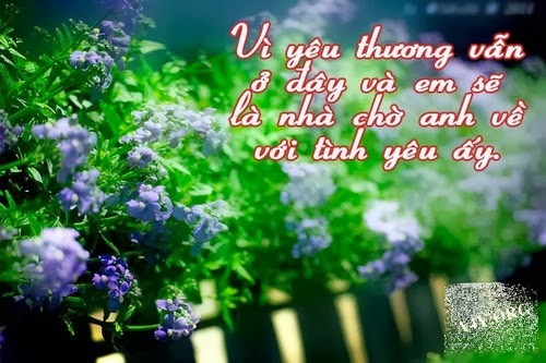 Những hình ảnh đẹp về tình yêu đơn phương đầy cảm xúc hợp với tâm trạng 22
