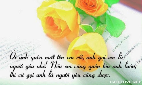 Những lời tỏ tình dễ thương lãng mạn hay nhất chắc chắn sẽ chinh phục được nàng 0