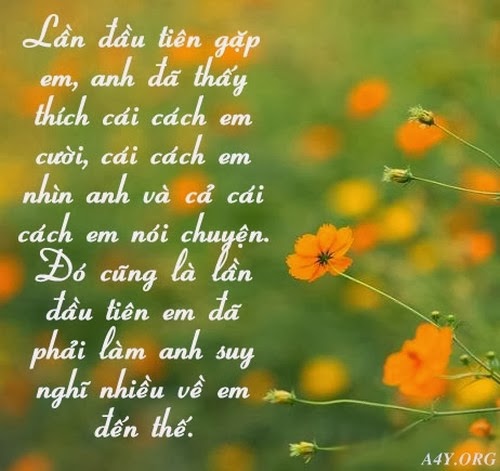 Những lời tỏ tình dễ thương lãng mạn hay nhất chắc chắn sẽ chinh phục được nàng 3