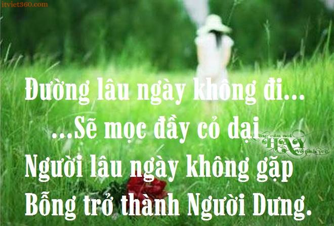 Những câu nói hay và ý nghĩa nhất về tình yêu của tuổi teen trên facebook 1