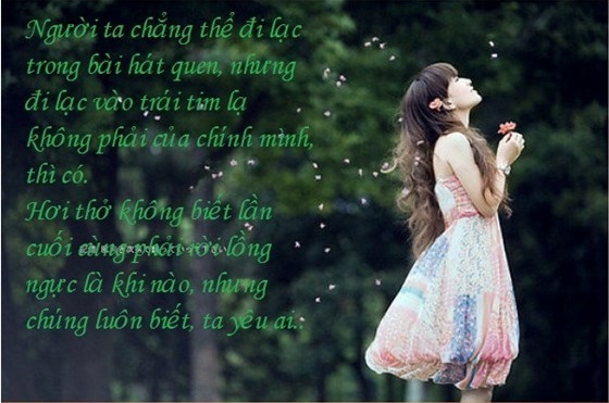 Tổng hợp những câu nói làm phụ nữ buồn và đau lòng nhất bạn nên biết 0