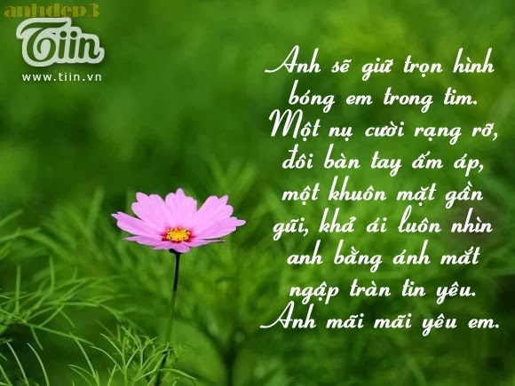 Bộ sưu tập những câu nói lãng mạn trong tình yêu hay nhất 2