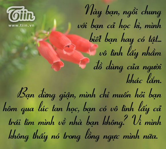 Tuyển tập những lời tỏ tình hay và dễ thương nhất đốn tim bạn gái 0