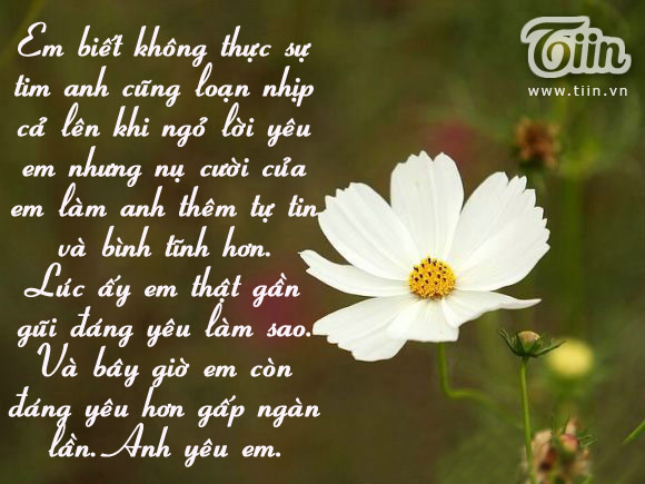 Tuyển tập những lời tỏ tình hay và dễ thương nhất đốn tim bạn gái 13