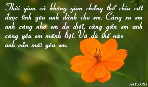 Những câu nói ngọt ngào về tình yêu hay và ý nghĩa nhất bằng tiếng Anh 2