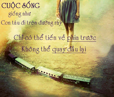 Những câu danh ngôn bất hủ về tình yêu và cuộc sống của người nổi tiếng 0