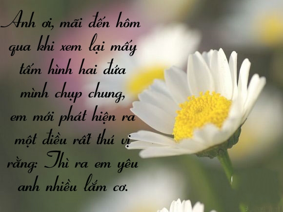 Những tin nhắn tình yêu lãng mạn và ngọt ngào nhất cho đôi lứa 4