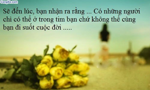 Những câu danh ngôn ý nghĩa nhất về tình yêu hay bất hủ bằng tiếng anh 0