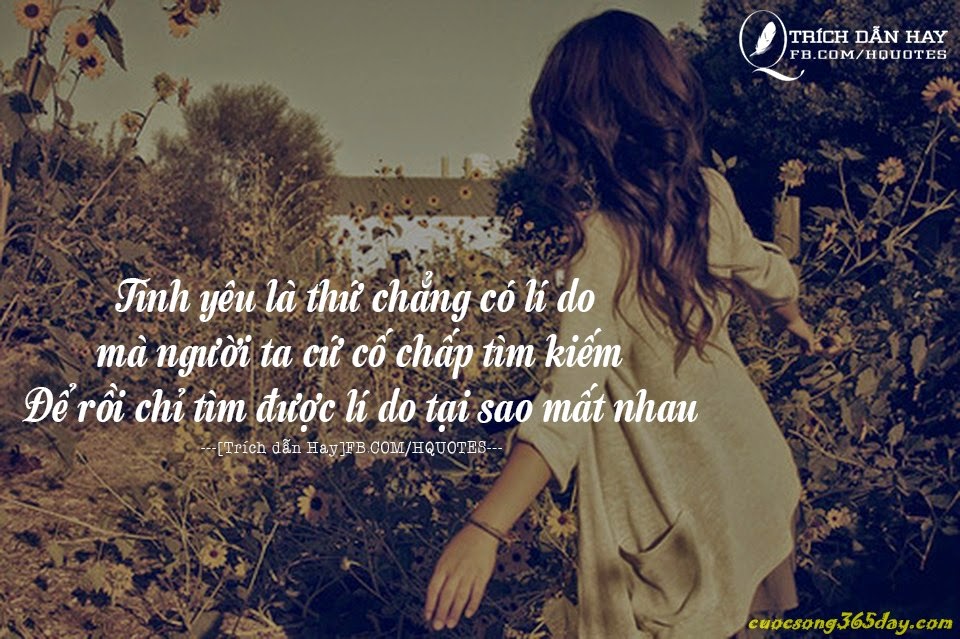 Những câu nói bất hủ về tình yêu hay nhất thế giới 1