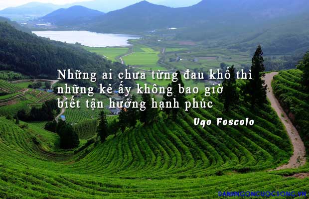 Tổng hợp những câu danh ngôn hay bất hủ về hạnh phúc bằng tiếng anh 3