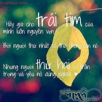 Suy ngẫm những câu nói hay về tình yêu ý nghĩa sâu sắc nhất cho đôi bạn trẻ 3