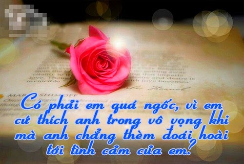 15 hình ảnh buồn thê lương về tình yêu đơn phương 11