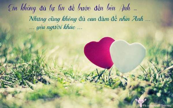 15 hình ảnh buồn thê lương về tình yêu đơn phương 14