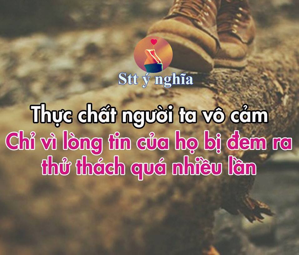Những câu nói hay trong tình yêu và cuộc sống trên facebook 5