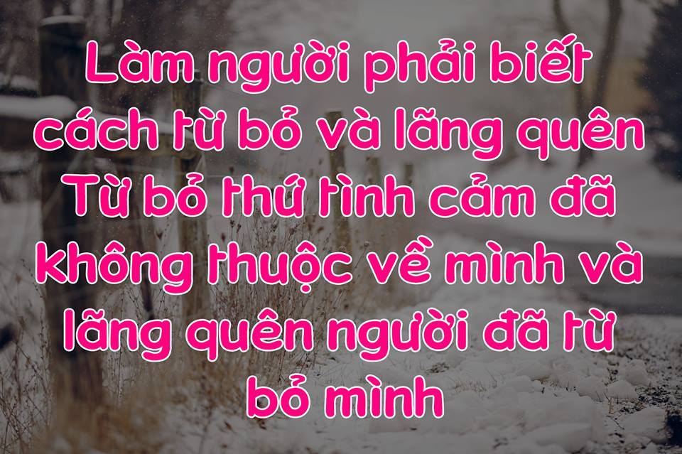 Những câu nói hay trong tình yêu và cuộc sống trên facebook 16