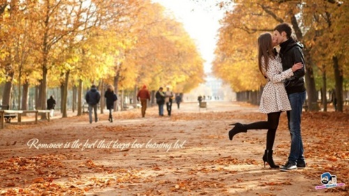 Những hình ảnh đẹp lãng mạn nhất về tình yêu 17