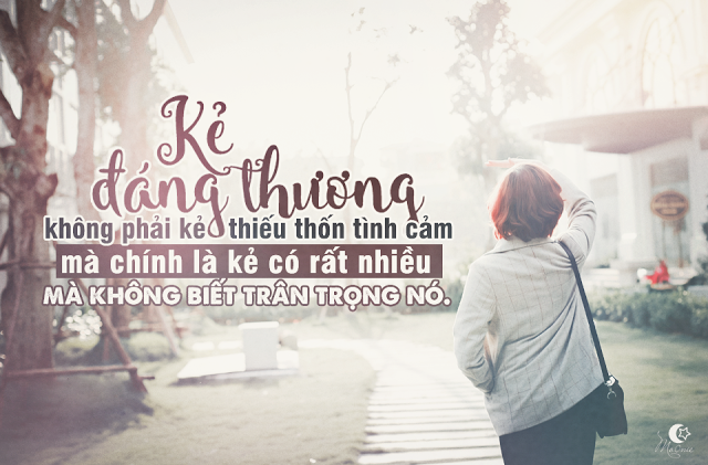 Những câu nói bất hủ trong tình yêu và nguyên lý cuộc sống 0