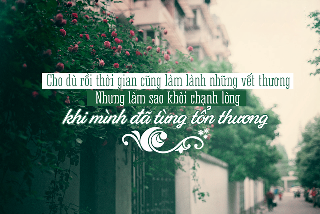Những câu nói bất hủ trong tình yêu và nguyên lý cuộc sống 2