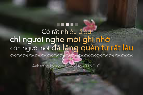 Những câu nói bất hủ trong tình yêu và nguyên lý cuộc sống 11