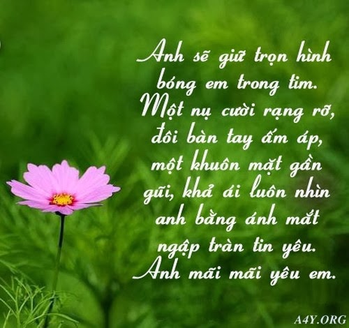 Những câu nói lãng mạn về tình yêu ngọt ngào và hạnh phúc nhất 2016 2