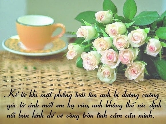 Những câu nói lãng mạn về tình yêu ngọt ngào và hạnh phúc nhất 2016 4
