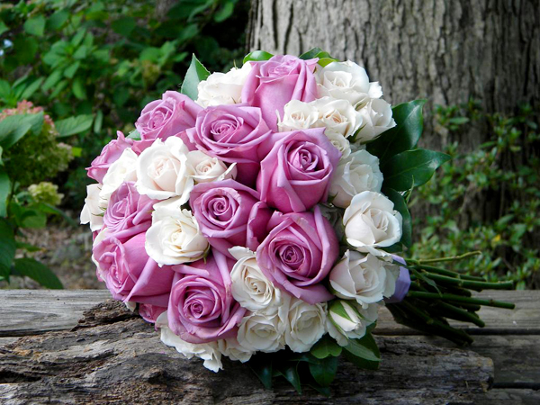 Hình ảnh hoa hồng ngày valentine tặng người yêu 14-2 12
