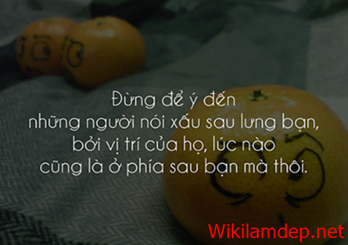 Những câu nói bất hủ hay nhất về tình người bạn nên biết 1