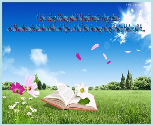 Những câu nói bất hủ hay nhất về tình người bạn nên biết 2
