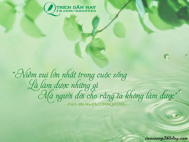 Những câu nói bất hủ hay nhất về tình người bạn nên biết 3