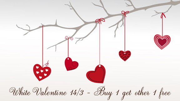 Những câu tỏ tình ngày 14-3 hay và ý nghĩa ngày valentine trắng 1