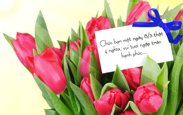 Hình ảnh hoa hồng 8-3 tuyệt đẹp cho ngày quốc tế phụ nữ 10