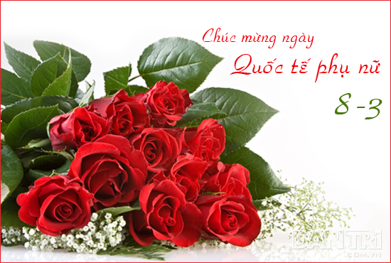 Hình ảnh hoa hồng 8-3 tuyệt đẹp cho ngày quốc tế phụ nữ 11