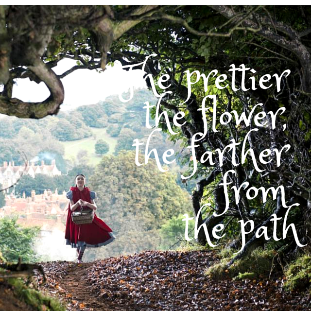 Những câu nói hay ý nghĩa về cuộc sống trong phim Into The Woods 11