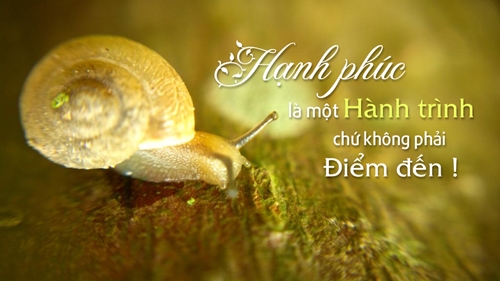 Hạnh phúc là gì – Những câu nói hay về tình yêu dành cho bạn gái 0