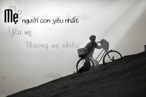 Những câu nói hay về mẹ ý nghĩa nhất sâu lắng trong tim mỗi người 5