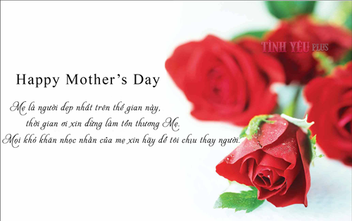 Những câu nói hay về mẹ ý nghĩa nhất sâu lắng trong tim mỗi người 10