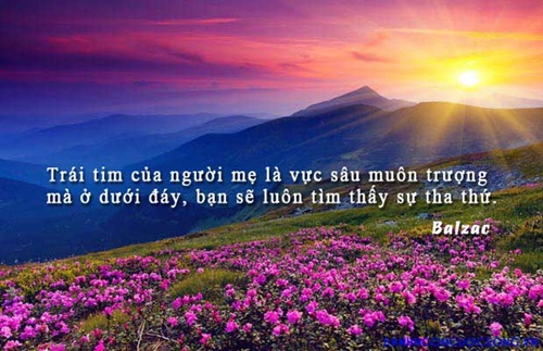 Những câu nói hay về mẹ ý nghĩa nhất sâu lắng trong tim mỗi người 32