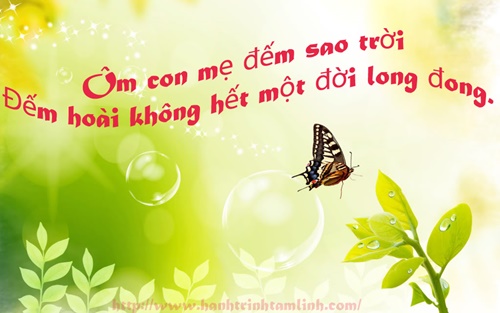 Những câu nói hay về mẹ ý nghĩa nhất sâu lắng trong tim mỗi người 36