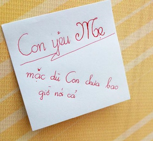 Những câu nói hay về mẹ ý nghĩa nhất sâu lắng trong tim mỗi người 41