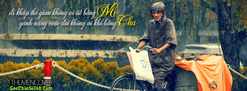 Chùm bài thơ hay về cha cảm động nhất 0