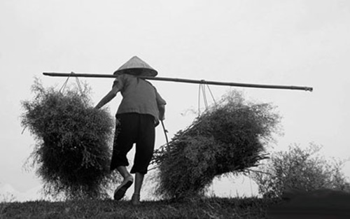 Những câu nói hay nhất về mẹ ý nghĩa xúc động lòng người 1