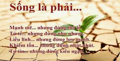 Những câu nói hay về cuộc sống tươi đẹp cực hay giúp chúng ta sống tốt hơn 12