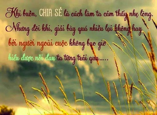 Những câu nói hay về cuộc sống tươi đẹp cực hay giúp chúng ta sống tốt hơn 13