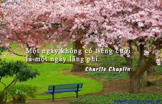 Những câu nói hay bất hủ về tiền bạc cực chất được đúc kết từ những người đi trước bạn không nên bỏ qua 2
