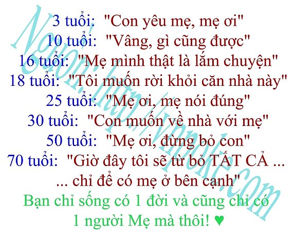 Những câu nói hay và cảm động nhất về mẹ đi sâu vào lòng người 10