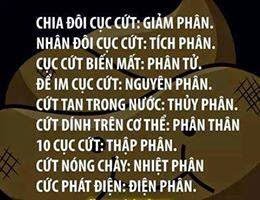 Những câu nói hay hài hước và bất hủ về cuộc sống chuẩn cơm mẹ nấu rồi 5