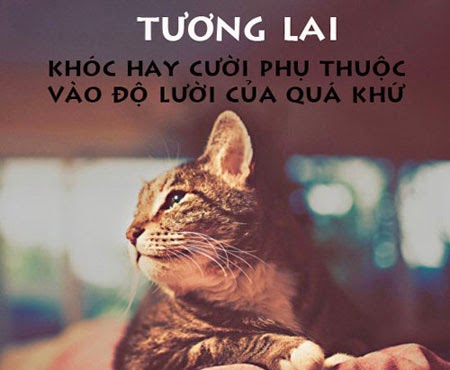 Những câu nói hay hài hước và bất hủ về cuộc sống chuẩn cơm mẹ nấu rồi 9