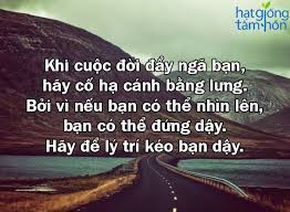 Những câu nói hay về cuộc sống hằng ngày ý nghĩa thiết thực với mọi người bằng tiếng anh 5